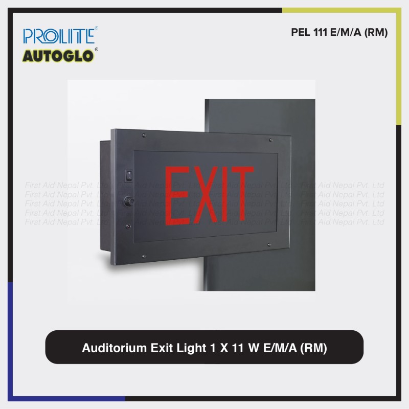 Auditorium Exit Light 1 X 11 W EMA (RM)